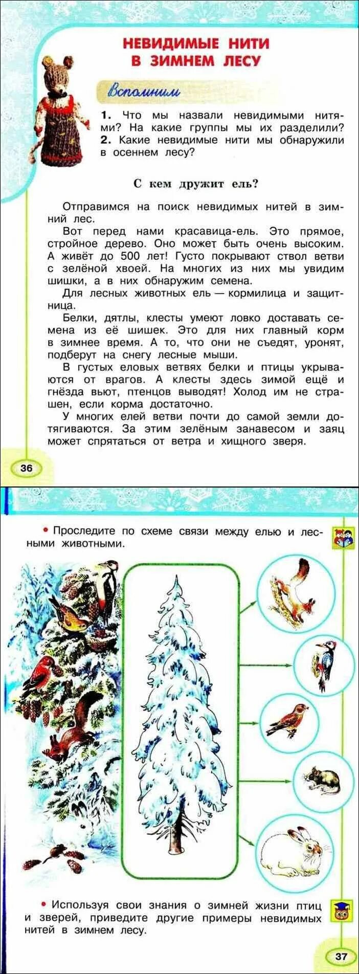 Невидимые нити схема. Невидимые нити схема. Невидимые нити в зимнем лесу. Невидимые нити ели. Невидимые нити в осеннем лесу ель.