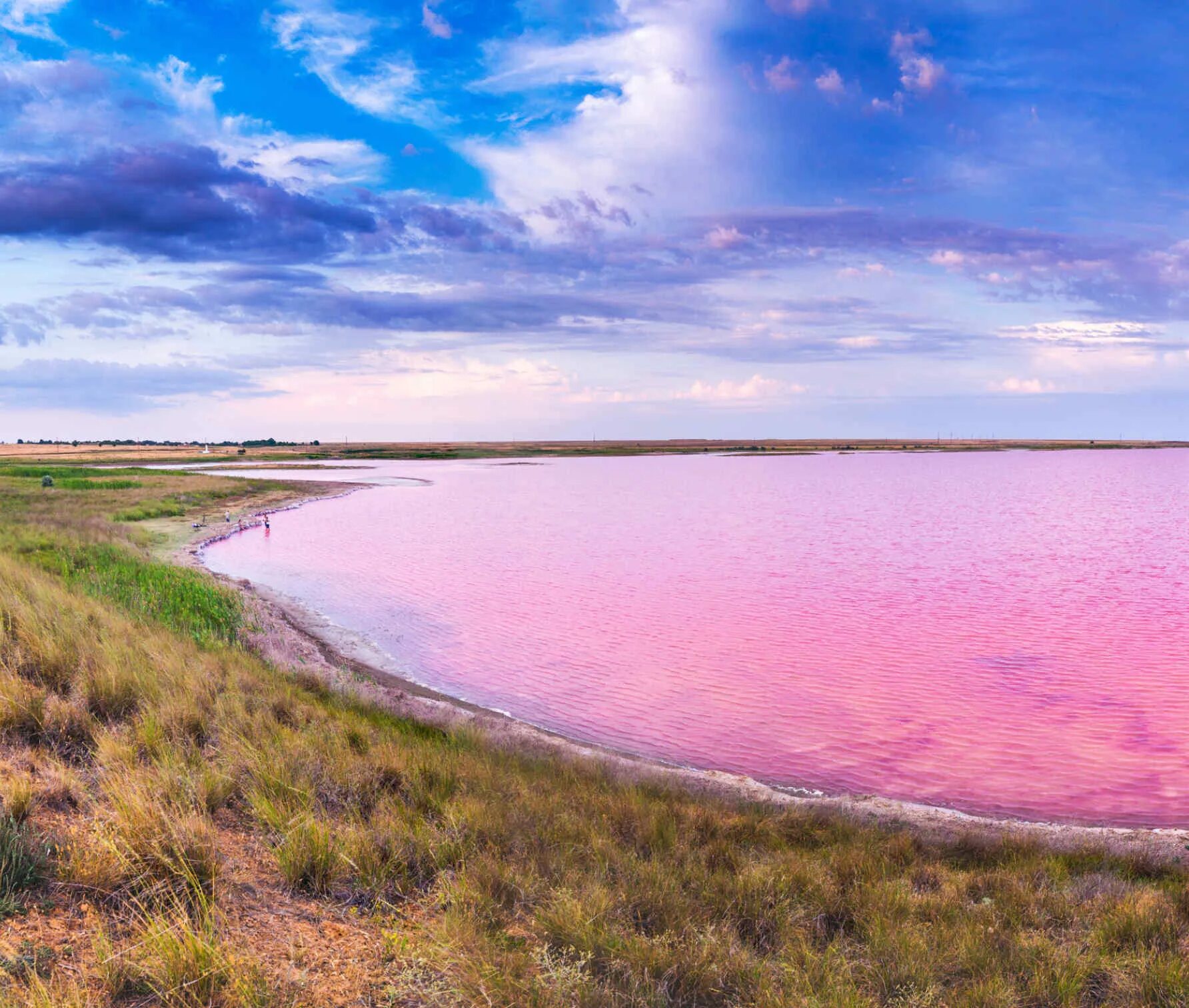 Кояшское озеро Керчь. Мыс Опук розовое озеро. Кояшское озеро в Крыму мыс Опук. Тобечикское озеро Керчь. Розовый водоем в крыму