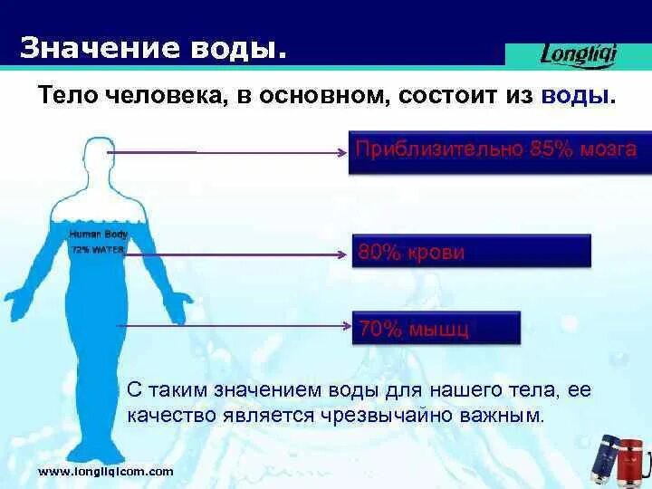 Тело человека состоит. Тело человека состоит из воды. Вода в организме. Состав воды в организме человека.