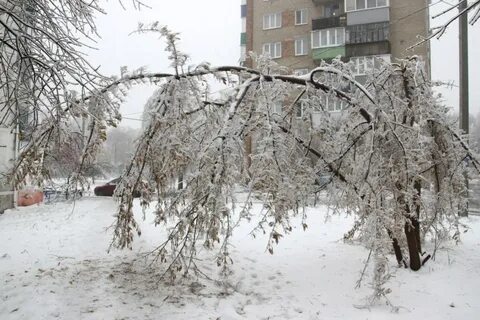 Ростов ледяной дождь