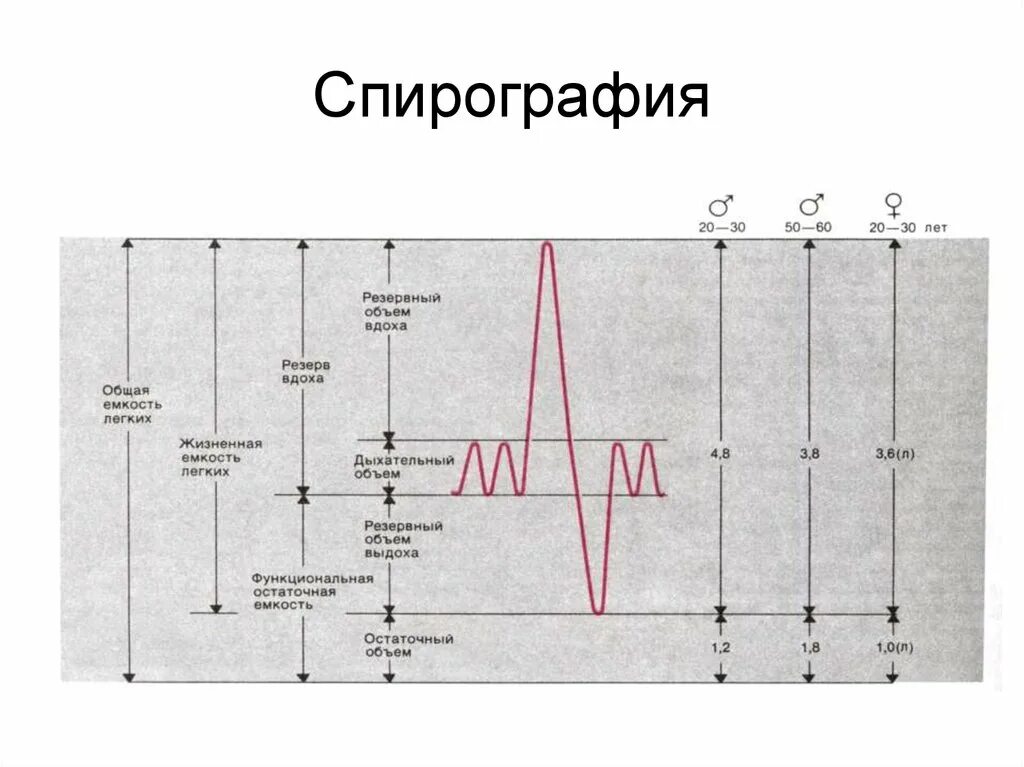 Дыхательные объемы физиология. Дыхательные объемы и емкости физиология. Объем легких 20. Легочные объемы и емкости физиология. Объем легких 20.