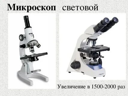 Микроскоп это прибор увеличивающий изображение в несколько
