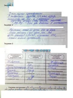 Самостоятельная по биологии 7 класс ответы