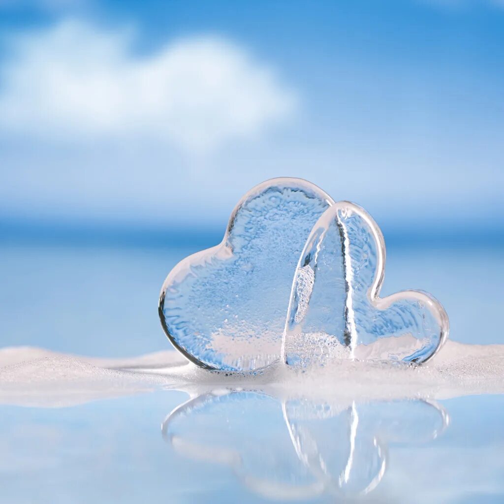 В тепле сердце в льдах. Ледяное сердечко. Сердце из льда. Сердце во льду. Фон для влюбленных.