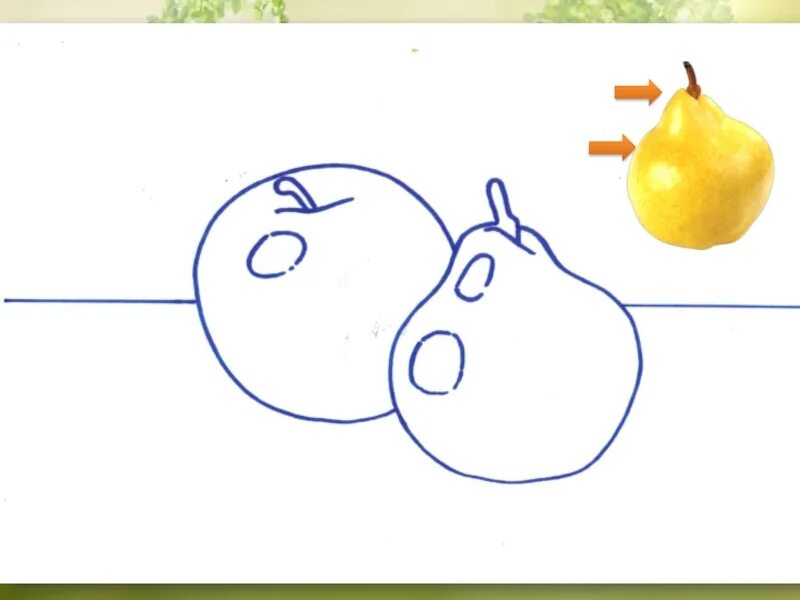 Урок изо 3 класс натюрморт. Натюрморт 3 класс. Натюрморт 3 класс изо. Рисование фруктов 3 класс. Рисование яблоко и груша старшая группа.