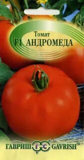 Сорт томатов андромеда отзывы