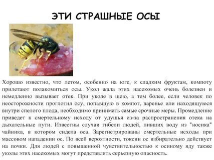 Оса попала