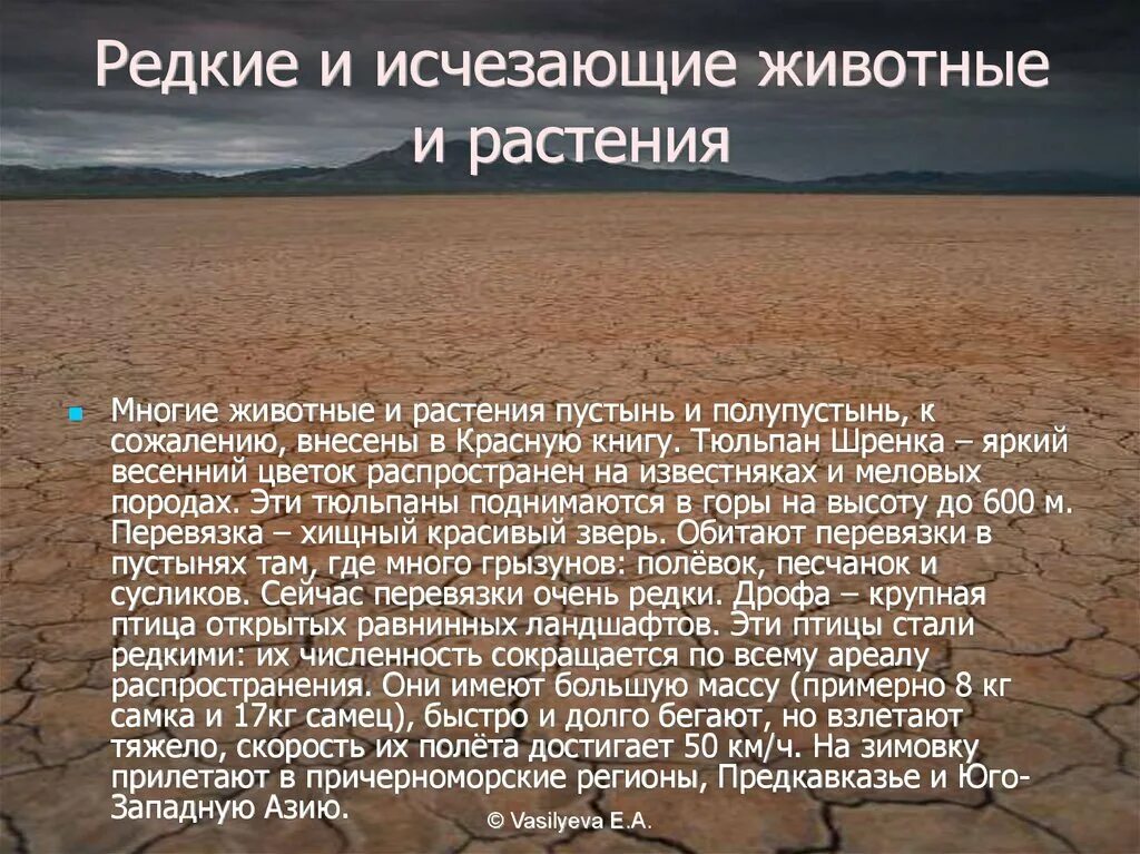 Температура января в пустынях и полупустынях