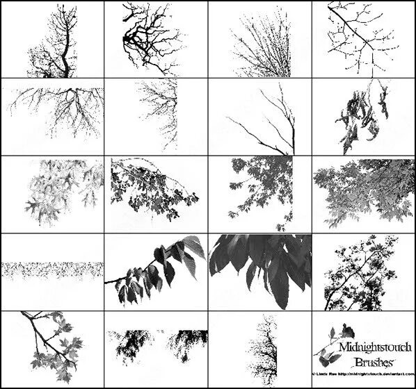 Кисти деревьев. Кисти для фотошопа ветки деревьев. Кисти для фотошопа деревья. Кисти листочков и веток.