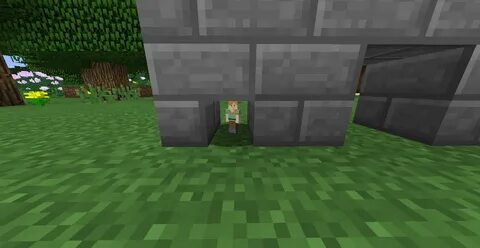 Minecraft mod net