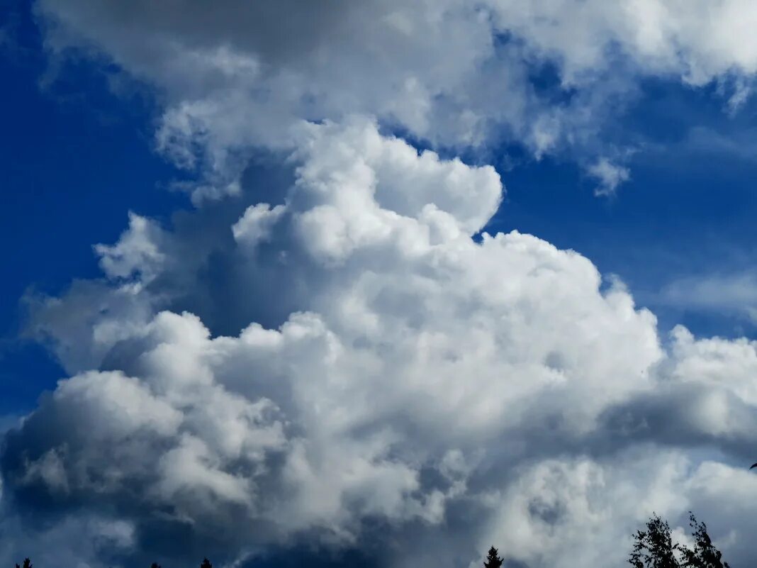 густые облака. клочья облаков. перисто кучевые. большие облака. красивые облака.
