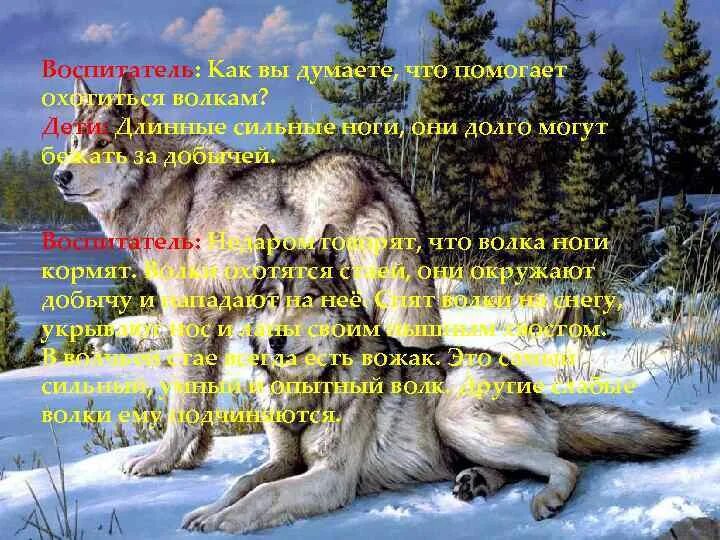 Пословицы волка ноги. Волка ноги кормят. волка ноги кормят значение. фразеологизм волка ноги кормят. волка ноги кормят картинка.