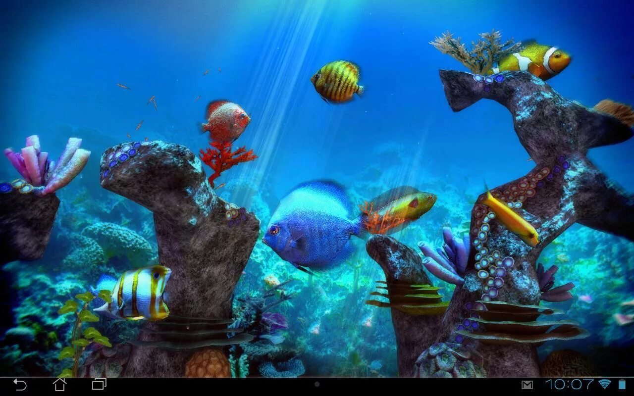 Живой аквариум андроид. Аквариум 3д. Аквариум 3d игра. Приложение живые обои с рыбками. Живые обои аквариум с рыбками 3d.