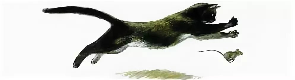 кот и мышь рисунок для детей. кот бежит за мышкой. кот гоняется за мышью. кошка гоняется за мышкой рисунок. кот бежит за мышкой.