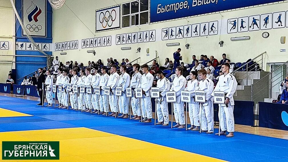 ЦФО дзюдо. Турнир по дзюдо макет. ЦФО дзюдо Брянск 2024. Брянск ЦФО. Цфо по дзюдо брянск