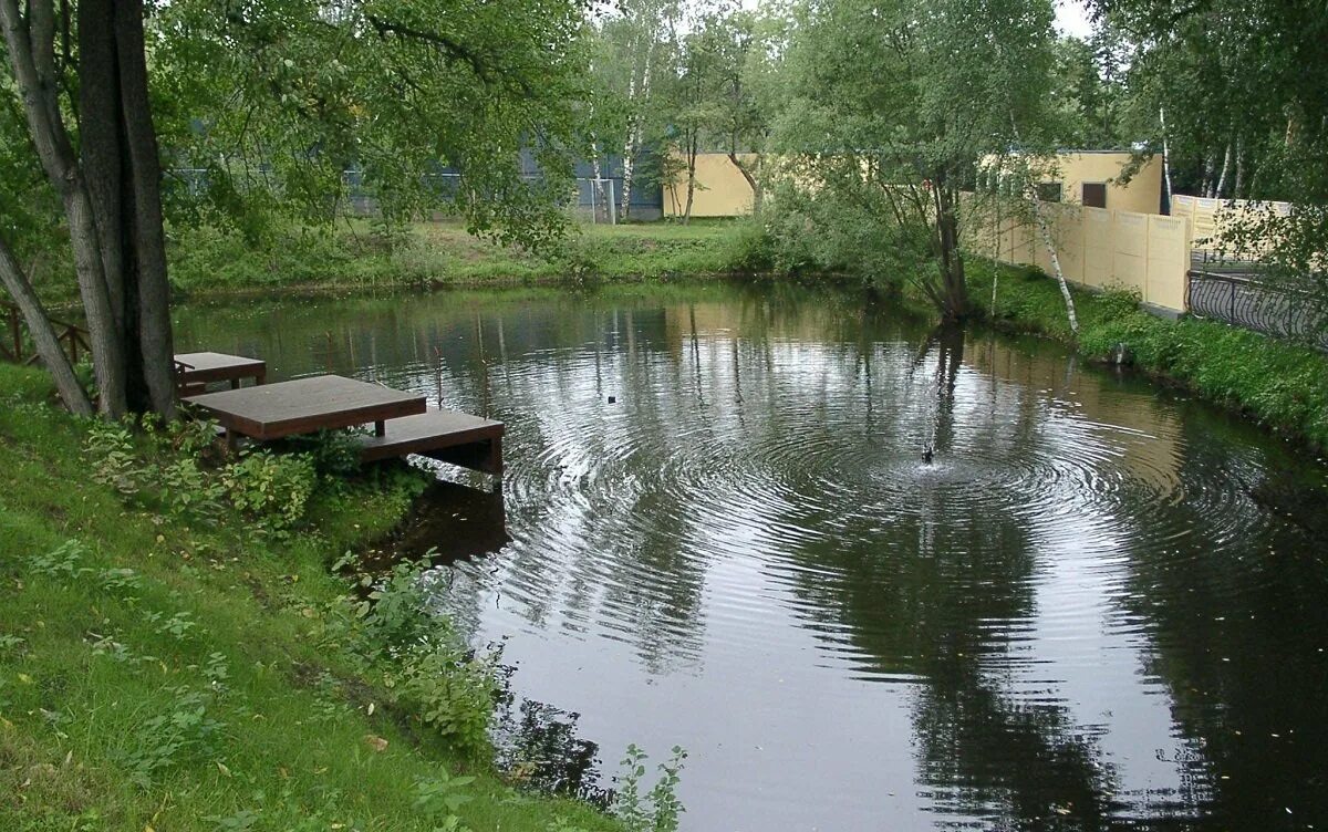 Рыбоводство пруд копанка. Пруд на дачном участке для разведения рыбы. Искусственный водоем для разведения рыбы. Искусственное озеро на участке. Непроточный водоем