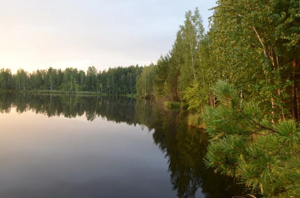 Палшемское озеро Вологодская область. Озеро Еланач. Озеро Елисинское Свердловская область. Озеро ратное.