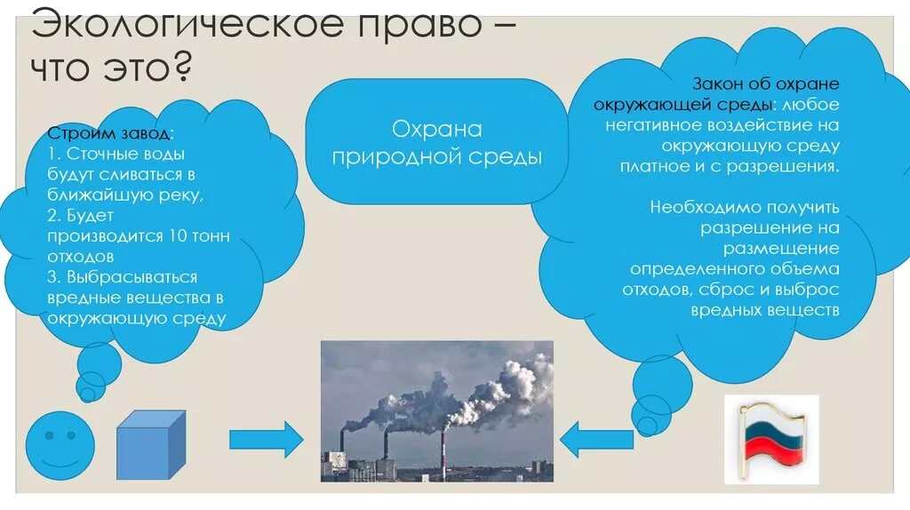 Общество в экологическом праве