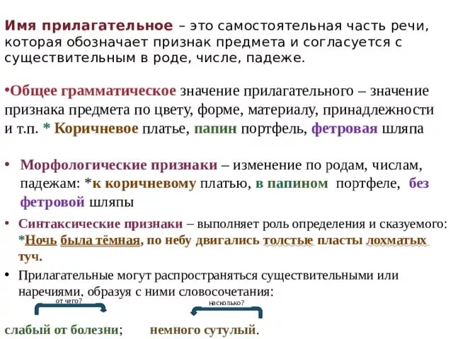 Морфологические признаки и синтаксические функции имени прилагательного