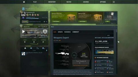 Cappsystemdict unable cs go
