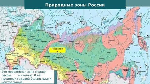 Какие города расположены в зоне субтропиков