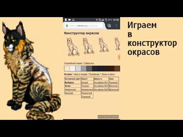 Окрасы catwar. Коты Воители конструктор окрасов. Конструктор окрасов с гетерохромией. Конструктор окрасов кэтвар. CATWAR окрасы.