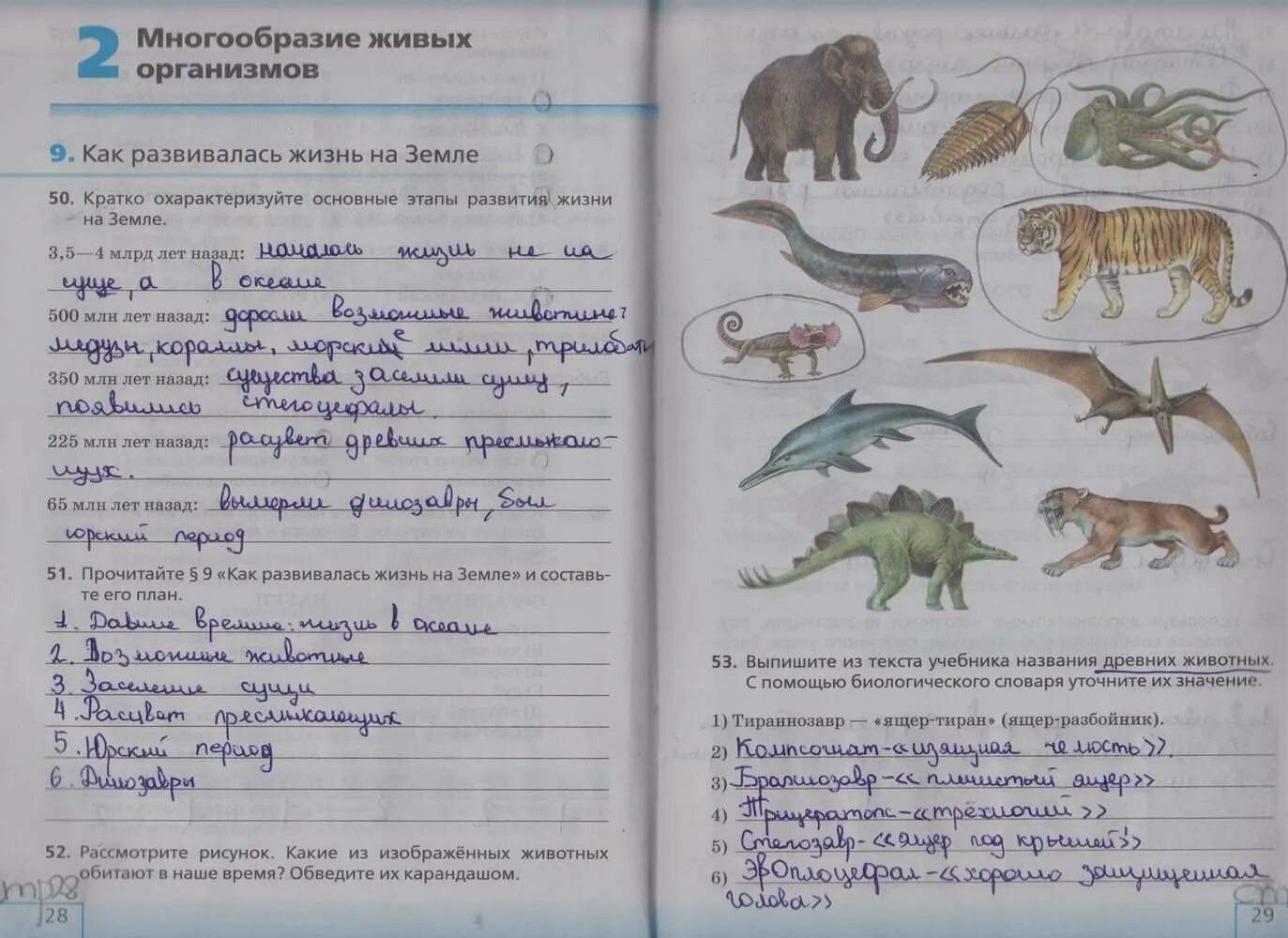 Прочитайте текст все живые существа. Биология 5 класс рабочая тетрадь стр 28. Биология 5 класс рабочая тетрадь Сонин рабочая тетрадь параграф 29. Биология Сонин 5 класс рабочая тетрадь задания.