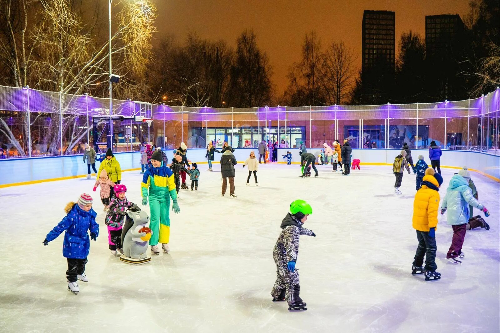 Воронцовский парк в Москве каток. Красивый каток. Красивый каток в Москве. Самый красивый каток в Москве и Подмосковье. Люблю каток