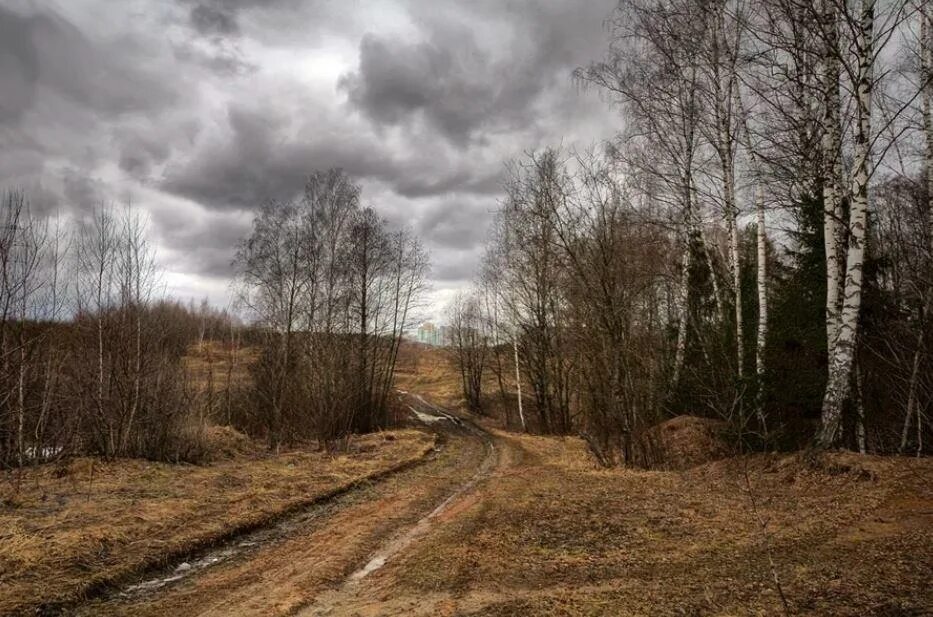 Весенний пасмурный. Пасмурный пейзаж. пасмурный день. пасмурный день в лесу.