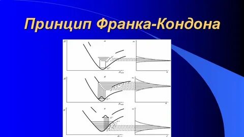 Принцип франка кондона