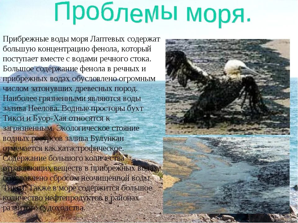 Море Лаптевых экологические проблемы. Море Лаптевых презентация. Загрязнение моря Лаптевых. Проблемы моря Лаптевых.