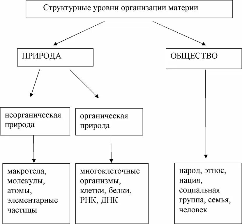 Уровни организации белковых молекул кратко. Структурные уровни предприятия. Структурные уровни предприятия. Структурные уровни предприятия. Организационная структура.