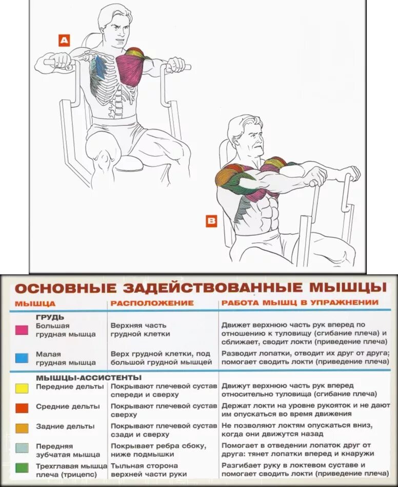 Верхняя часть грудины упражнения. Тренажер для мышц груди жим от груди сидя. Жим от груди в тренажере какие мышцы. Упражнения на грудные на тренажере.