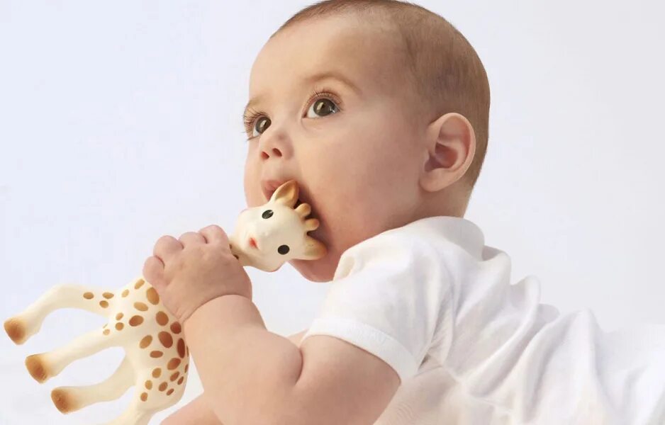 Как отучить годовалого. Ребенок грызет игрушку. Малыш с игрушкой во рту. Ребенок с агушой во рту.