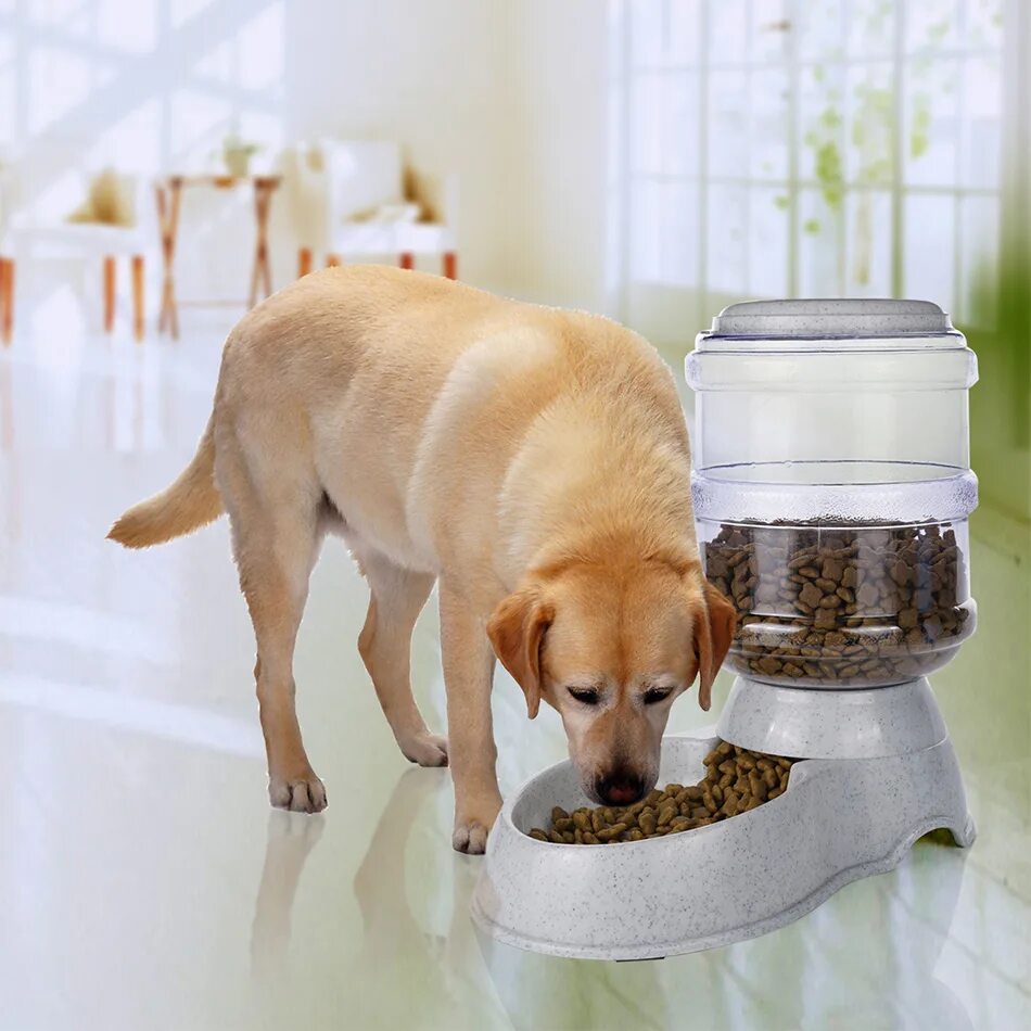 Автокормушки для кошек. Автоматическая кормушка. Кормушка automatic pet feeder. Автокормушка для собак timed feeder. Автокормушки для собак pet feeder.