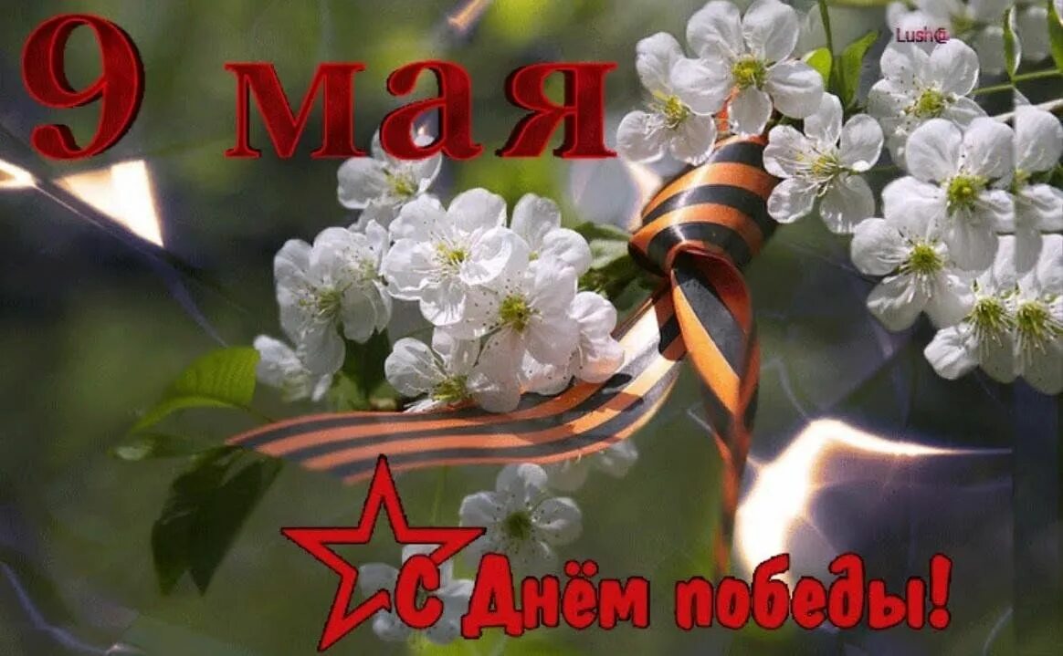 С днем победы сынок. 9 мая день победы. ос днем победы. открытка &quot;с днём победы&quot;. открытки с днеммпобеды.