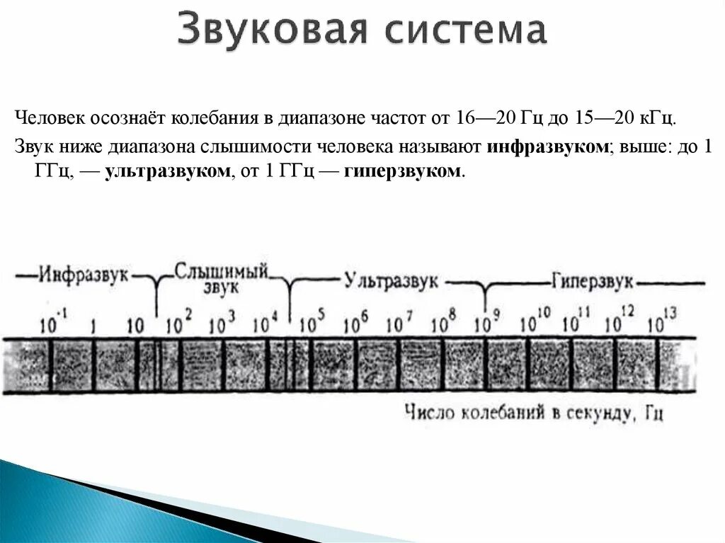 Частотный диапазон акустических волн. Частота звука. Диапазон звуковых частот. Спектр звуковых частот. В каком звуковом диапазоне слышит человек