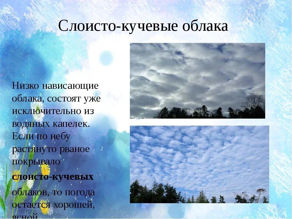 Погода какая облачность. Облака Кучевые перистые Слоистые. Перисто Кучевые облака характеристика. Слоисто Кучевые облака осадки. Высота на которой образуются Кучевые облака.