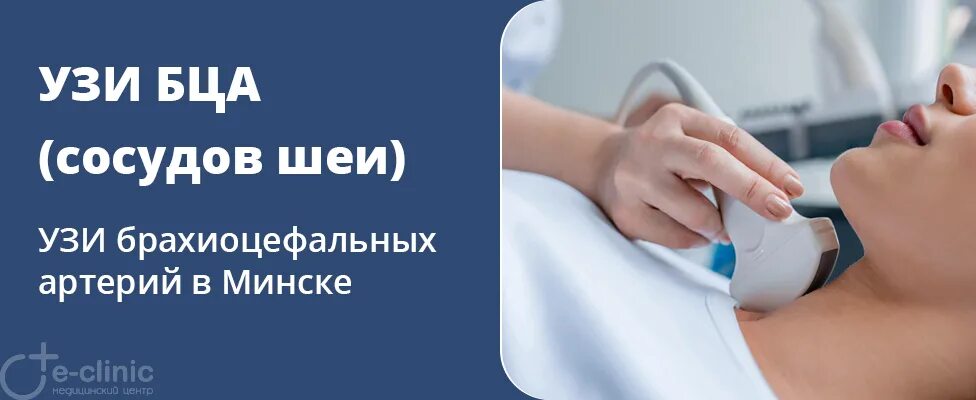 Узи дс бца что это. Допплерография брахиоцефальных сосудов. Узи бца минск. Узи бца минск. Узи бца минск.
