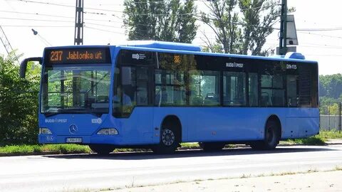 Автобус 237 спб
