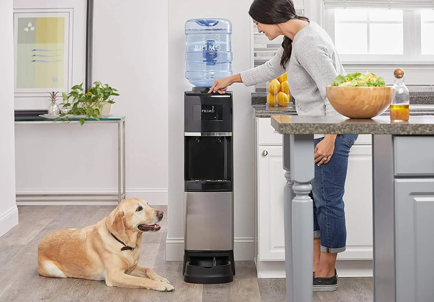 Кулер Family Water Dispenser. Кулеры для воды напольные на кухне. Кулер в интерьере. Кулер для воды в интерьере кухни. Какой кулер для воды лучше