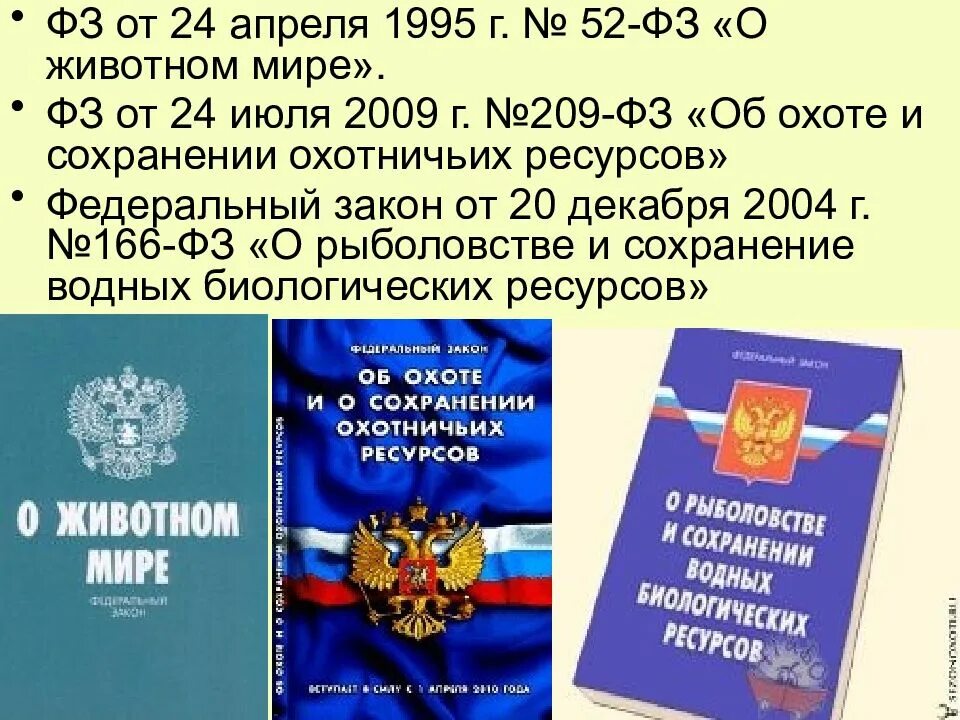 Изменения в фз об охоте. Закон о животном мире. Федеральный закон о животном мире. Закон о животном мире 1995.