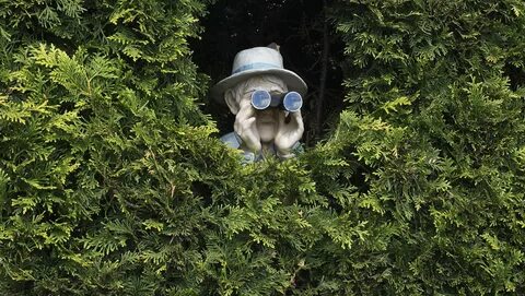 С ней в кустах