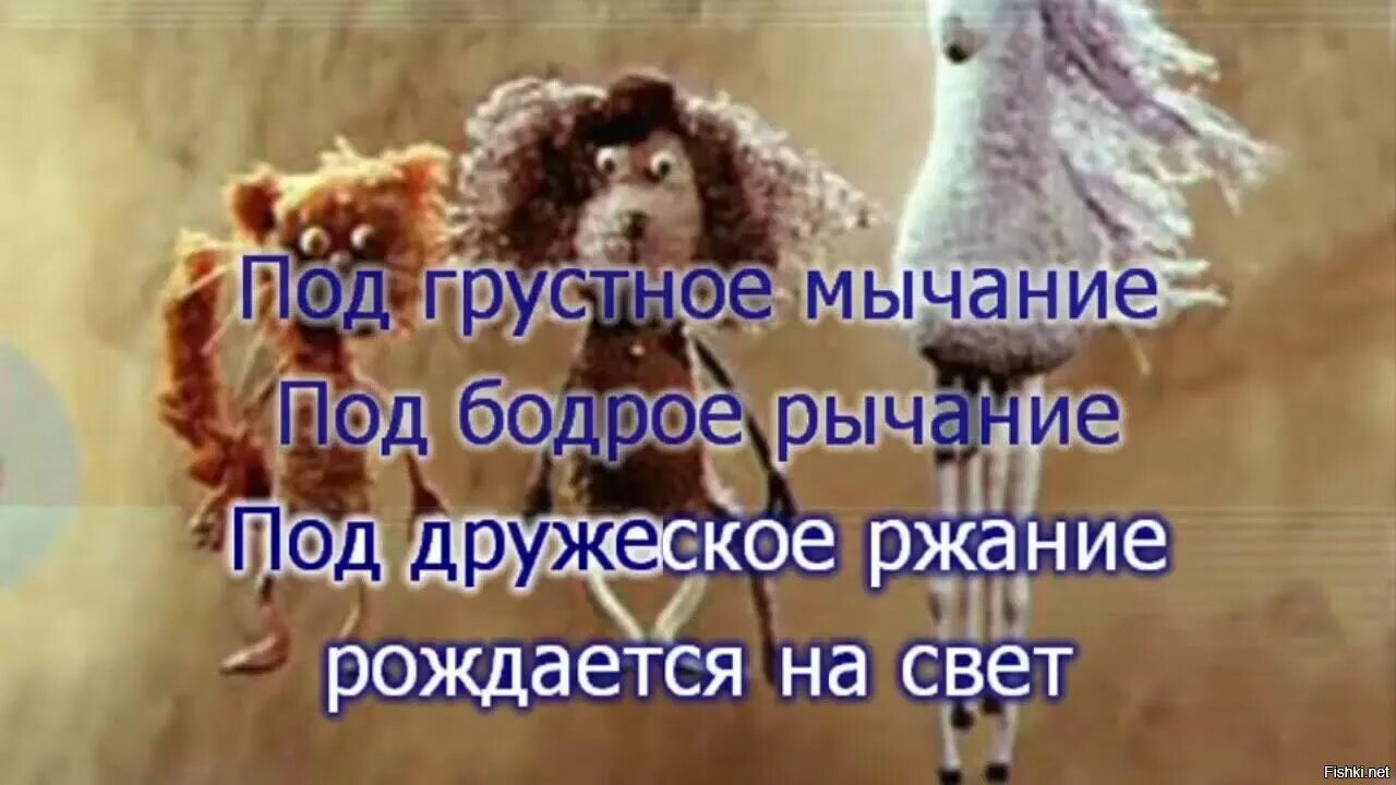 Под дружеское ржание. Смех лошади. Лошадь и девушка ржут фото и видео. Ржание лошади. Под дружеское ржание.