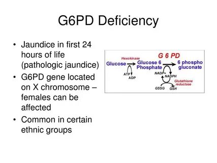 P 6 pd