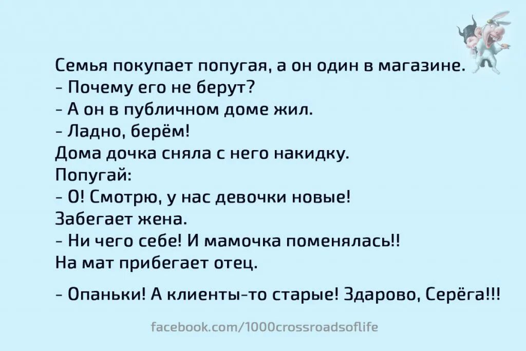 Анекдот про публичный. Анекдоты с попугаем. анекдот про попугая и публичного дома. анекдот про попугая и публичный дом. анекдот про попугая из борделя.