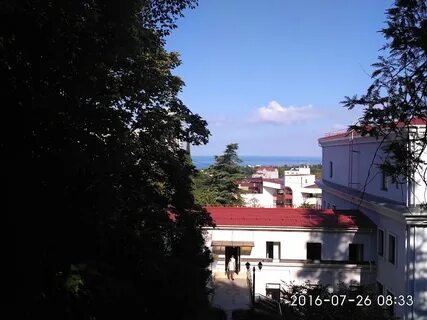 Виноградная улица сочи краснодарский край