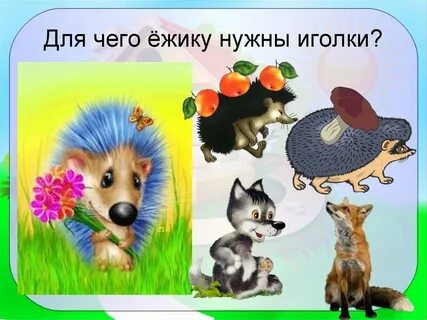 Зачем ежу