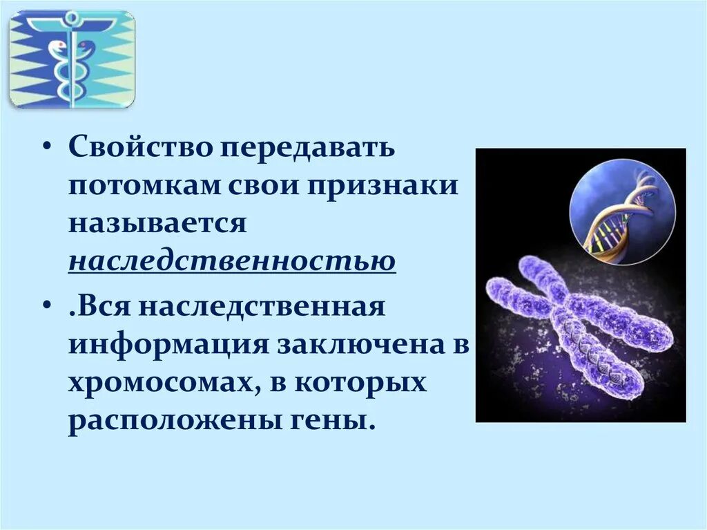 Наследственные болезни причины и профилактика презентация. Врождённые заболевания. Болезни, передающиеся половым путём. Наследственные болезни. Наследственные заболевания человека. Наследственные и врожденные болезни.