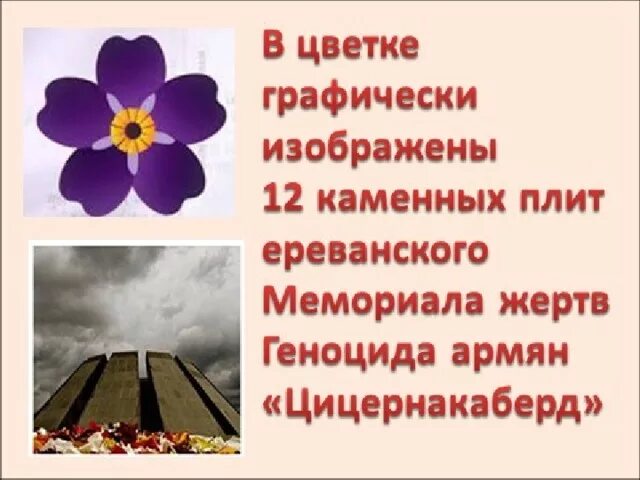 Стихи про геноцид. Армянский геноцид 1915 незабудка. 1915 год 24 апреля геноцид армян. незабудка символ геноцида армян. геноцид армян 1915 дата.